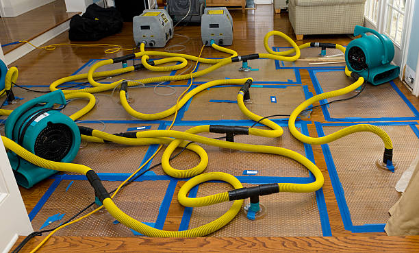 Professional Storm Water Damage Restoration technician working in Evans, CO
